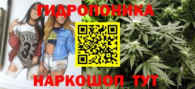 амф Канаш
